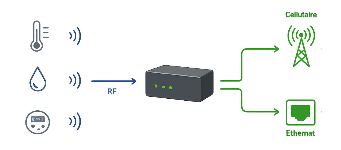 Carte électronique BSE Electronic